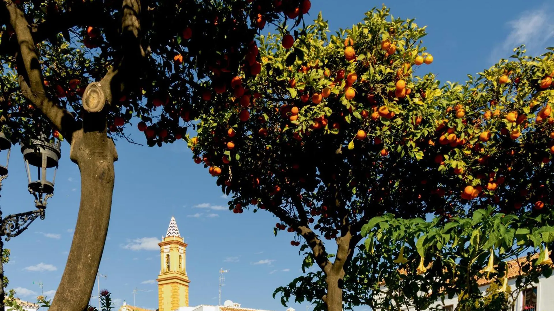 Casa Del Patio - Boutique Apartments (Adults Only) Estepona